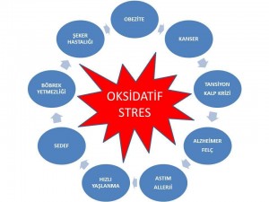 Oksidatif Stres Olculebilir Ve Tedavi Edilebilir Bir Durumdur